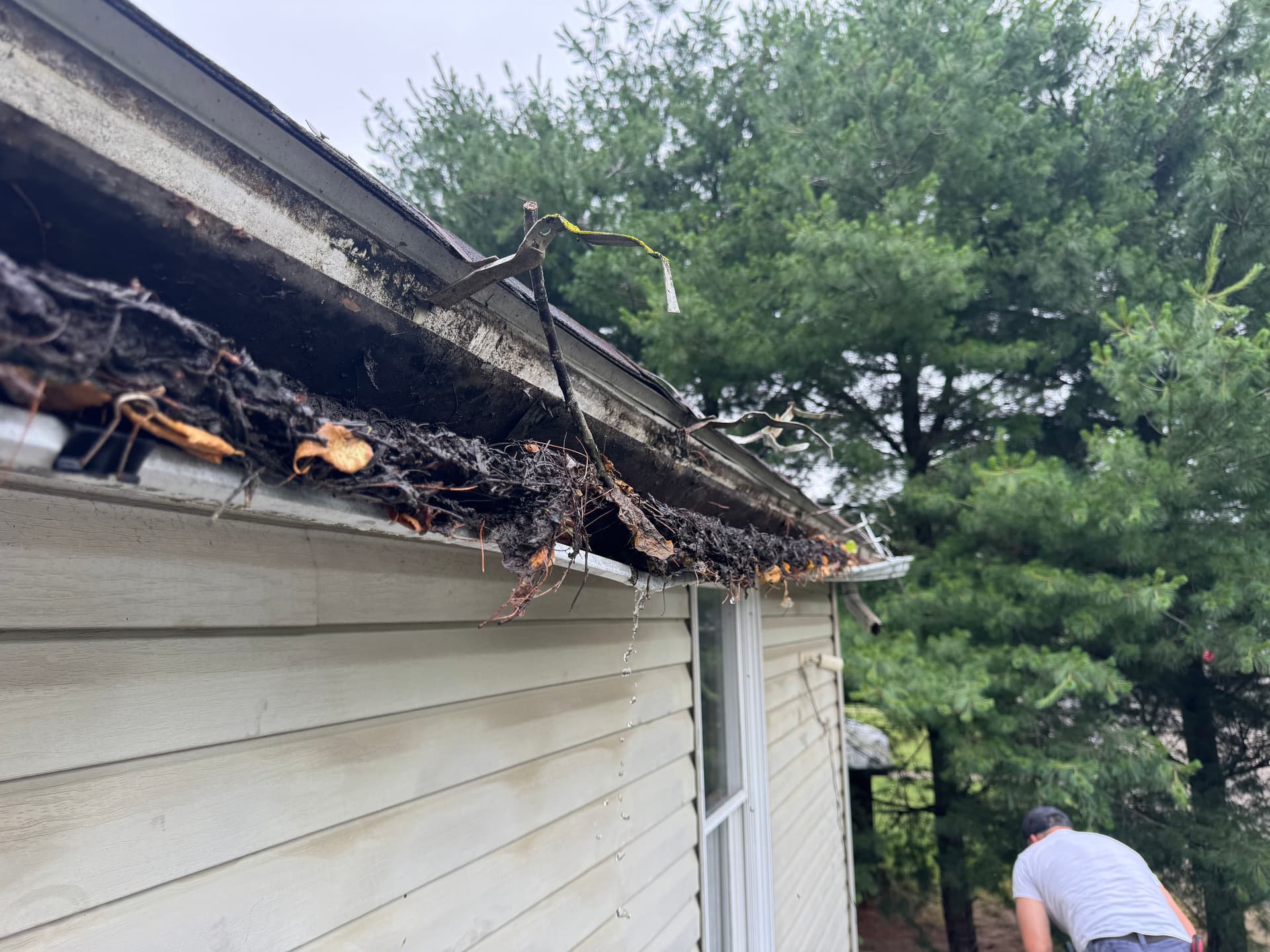 Full Roof Replacement and Gutter Overhaul in Piketon Ohio image